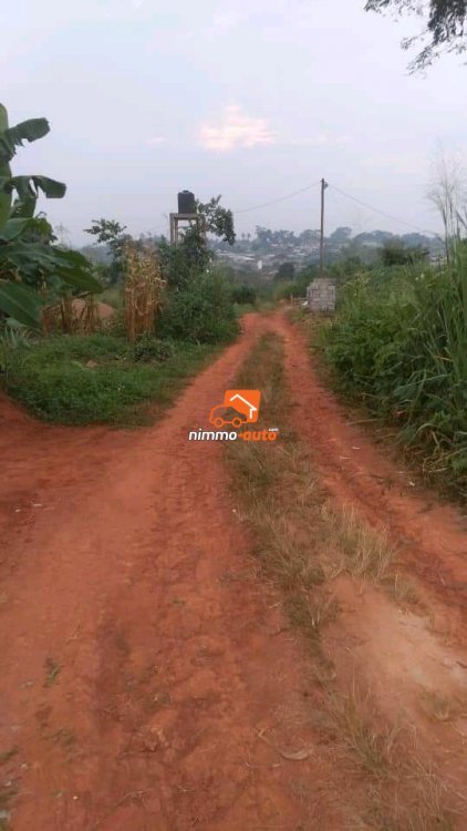 TERRAIN A VENDRE A NKOABANG