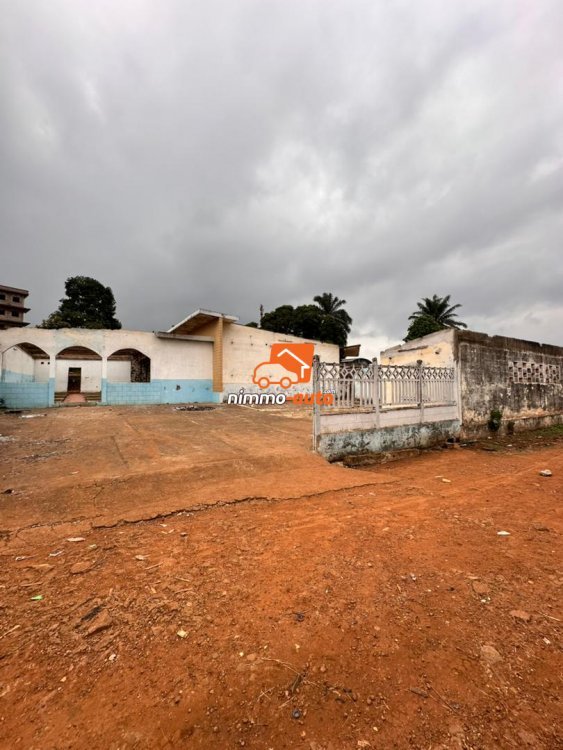 Terrain Commercial à vendre au quartier Mvan hyper bien situé