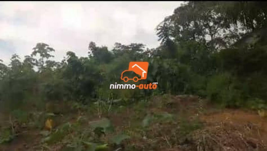 terrain à vendre à lendi