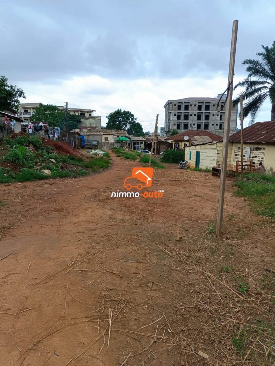 terrain a vendre titré à mvog mbi