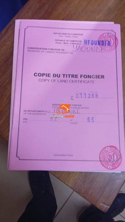 terrain à vendre à olembé stade