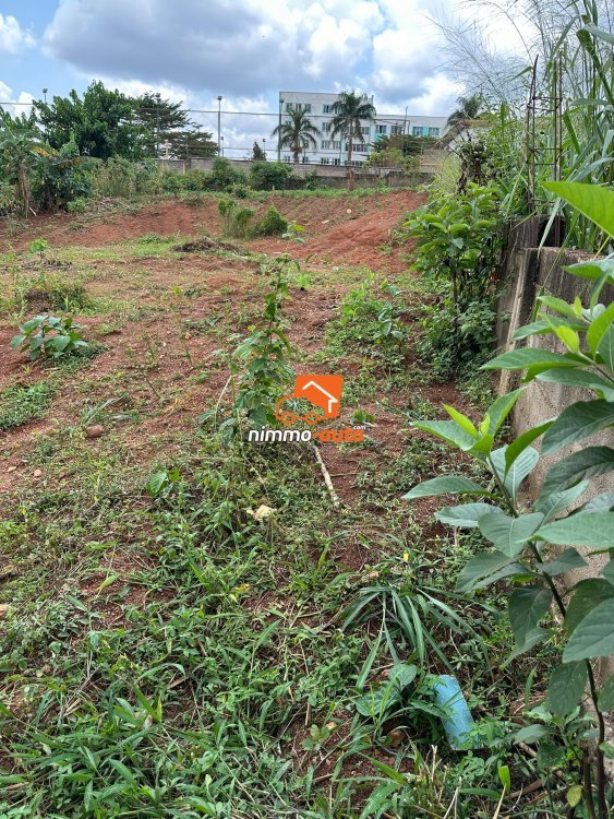 terrain titré et loti cloturé à vendre à fougerolle