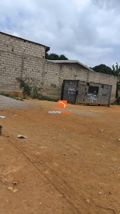 terrain a vendre a efoulan