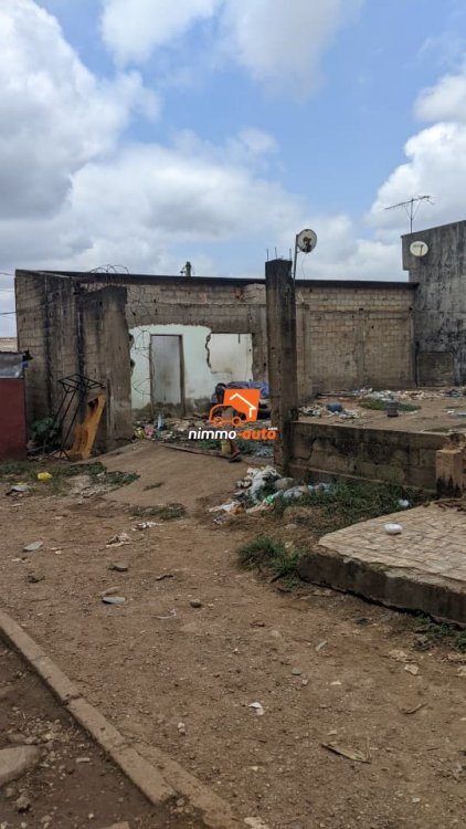 terrain a vendre situé a camtel biyemassi