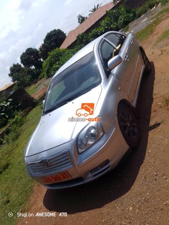 toyota avensi s tete de cochon à vendre