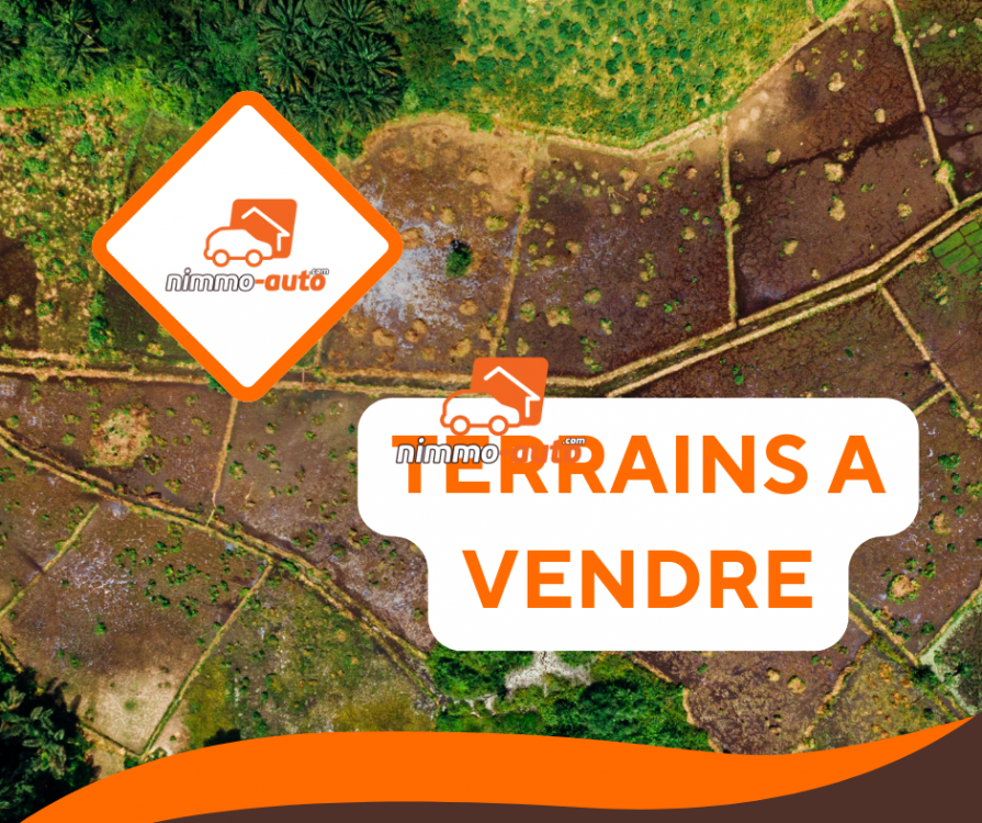 terrain plat, sec, et titré à vendre bonaberi