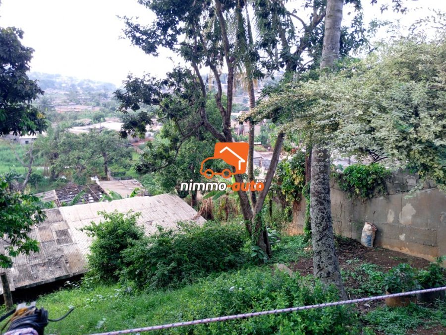 Terrain titré à vendre à omnisports