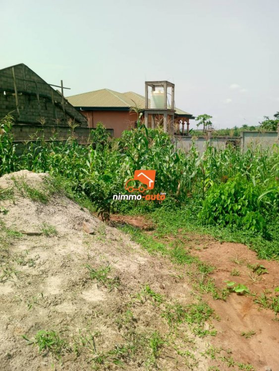 Terrain à vendre à Odza toutouli