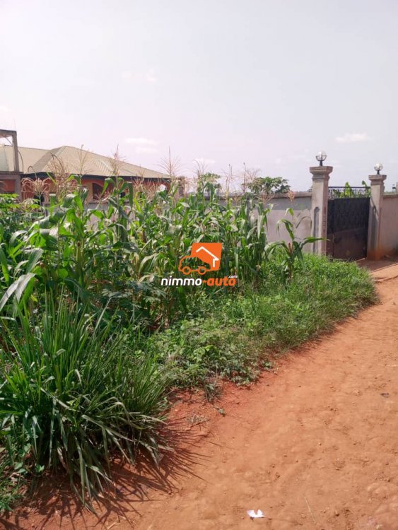 Terrain à vendre à Odza toutouli