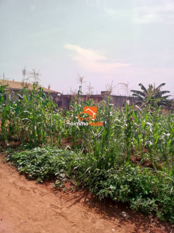 Terrain à vendre à Odza toutouli