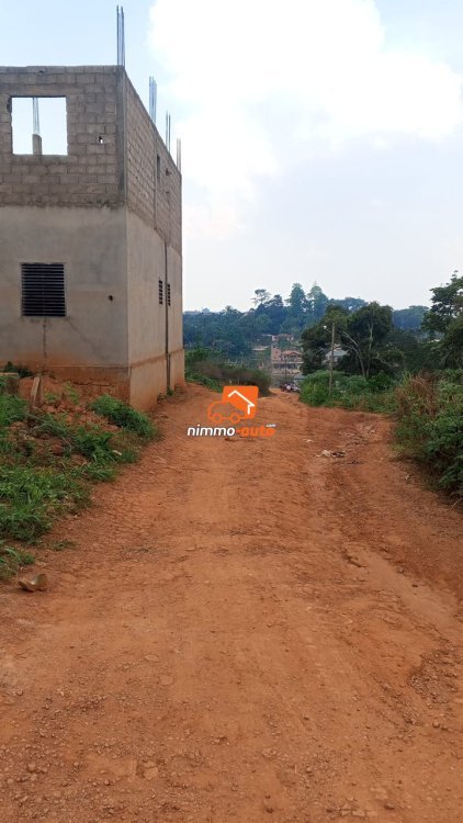 Terrain à vendre à Nkoabang derrière la Total