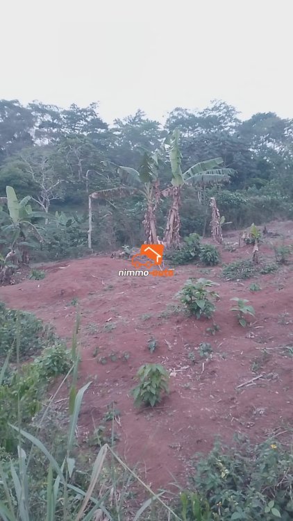Terrain à vendre à Nkoabang derrière la Total