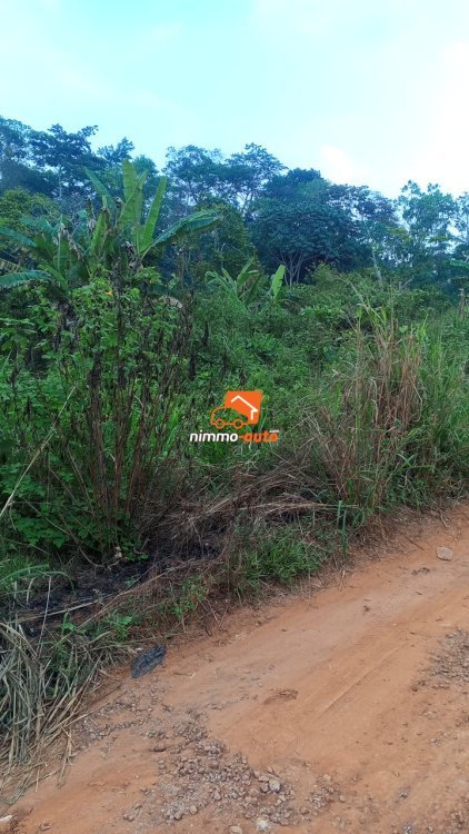 Terrain à vendre à Nkoabang derrière la Total
