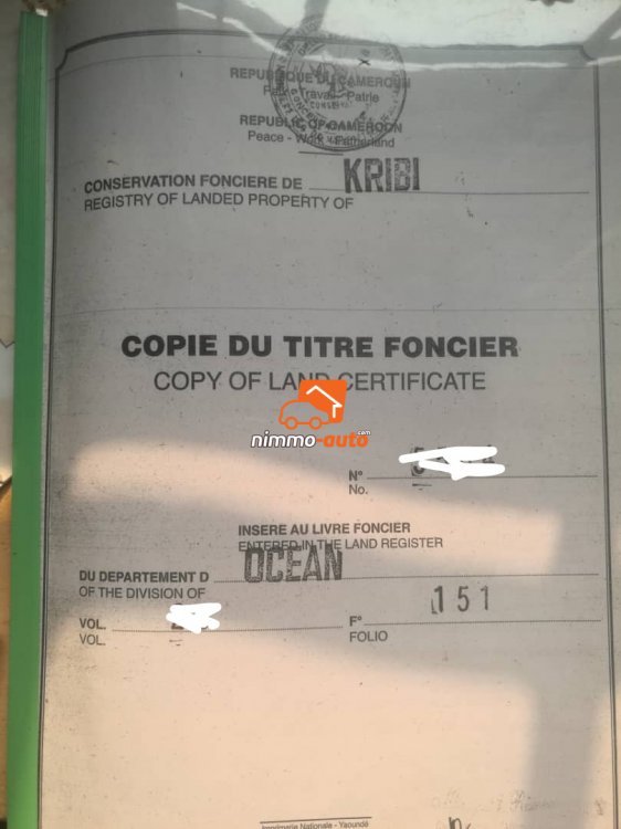Terrain commercial titré à vendre à MPolongwe à Kribi