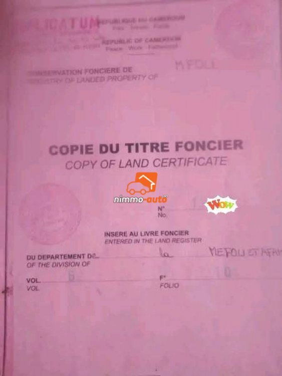 Financement pour Ouverture des routes à Mfou