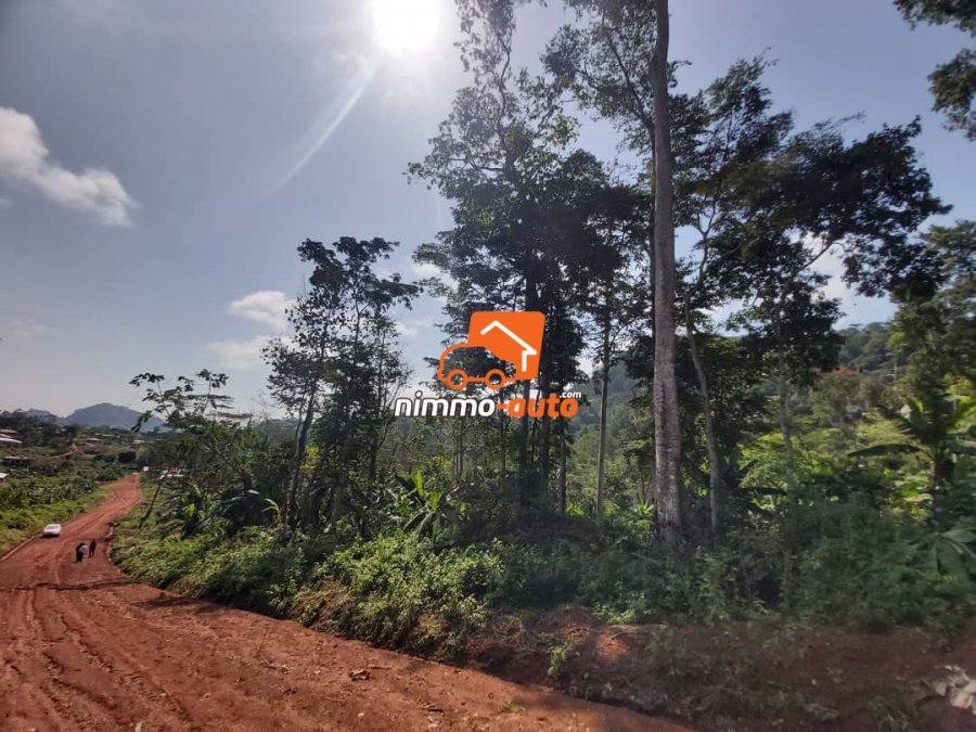 Terrain de 2.500m² à vendre à Eloumdem en Route