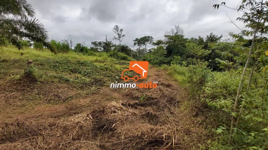 Vaste Terrain de 2.000m² à vendre à Nsimalen