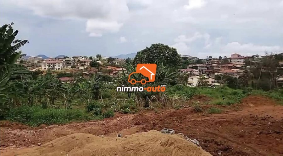 Terrain titré à vendre au Carrefour Nkolfoulou