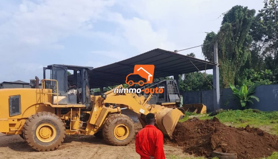 PELLE CHARGEUSE LIUGONG 856 CAT 966