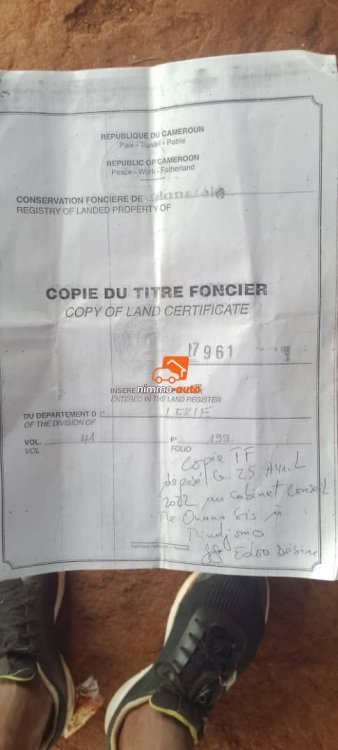 Terrain titré et loti à vendre à Obala