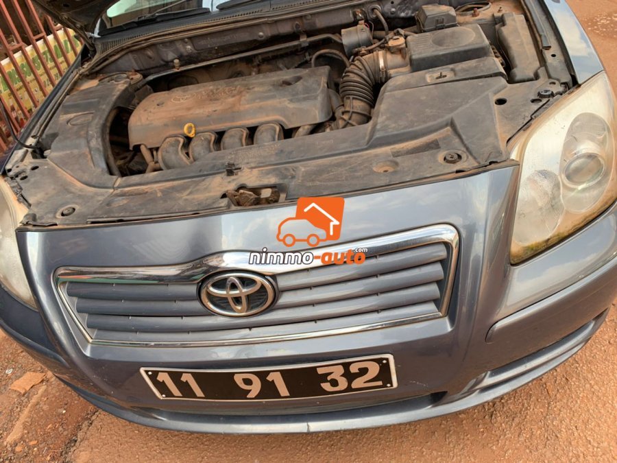 Avensis tête de cochon
