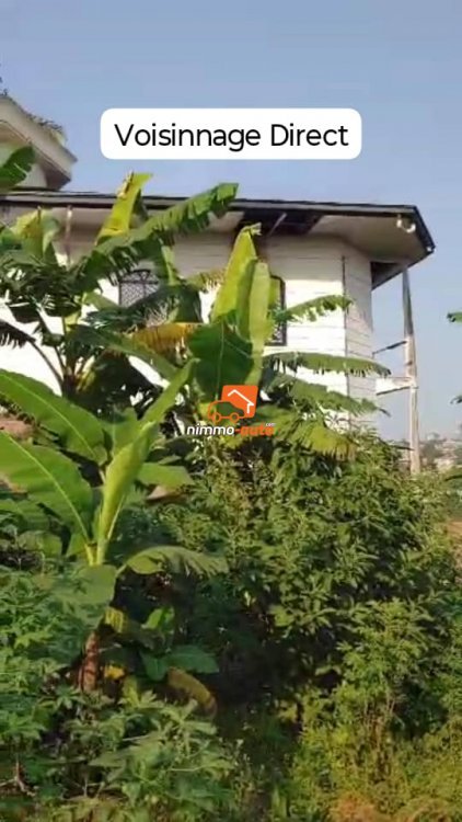 02 Lots de Terrain Titré Jumelé en 1200m² à vendre à Mvan