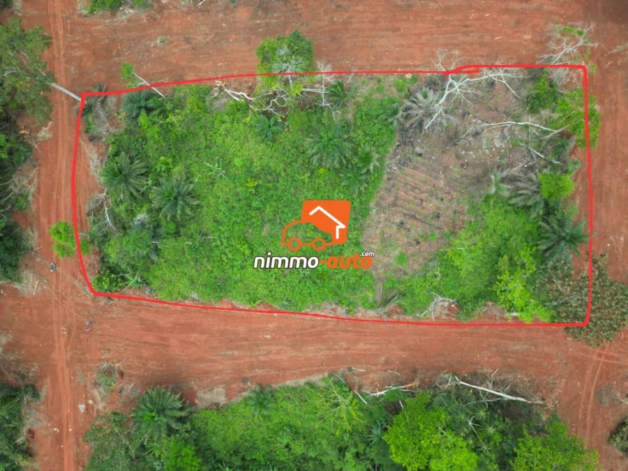 magnifique terrain à vendre à yemsoum par tradex nsimalen