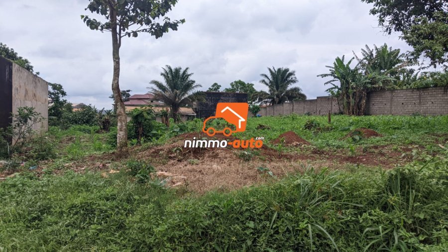 TERRAIN A VENDRE A NKOABANG