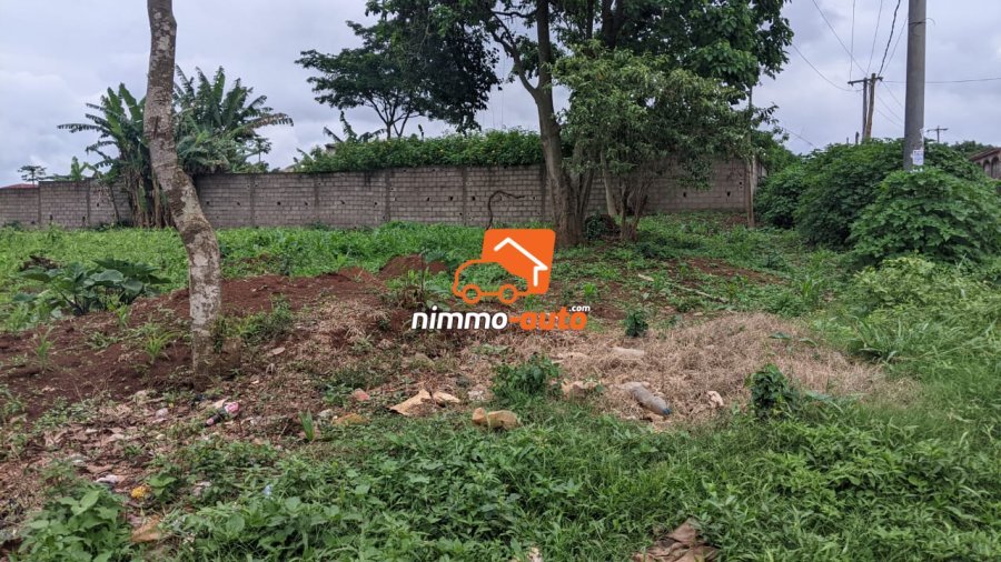 TERRAIN A VENDRE A NKOABANG