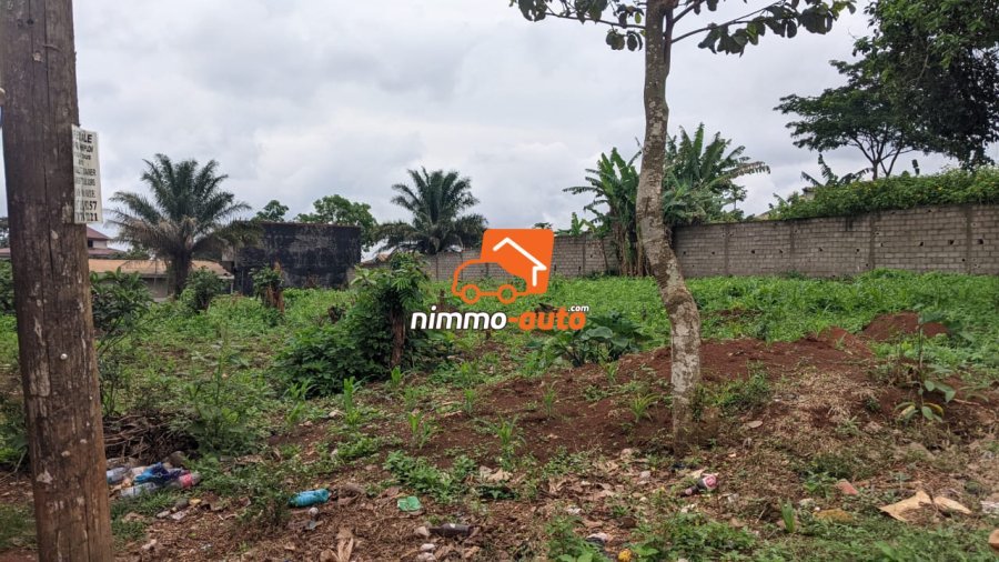 TERRAIN A VENDRE A NKOABANG