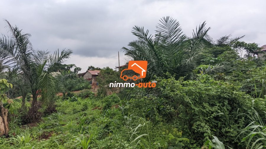 TERRAIN A VENDRE A NKOABANG