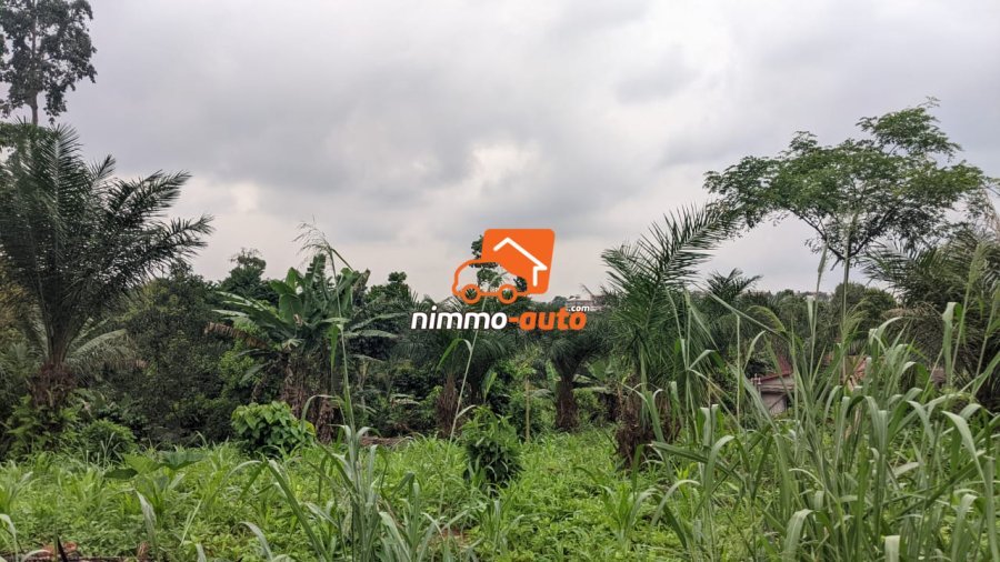 TERRAIN A VENDRE A NKOABANG