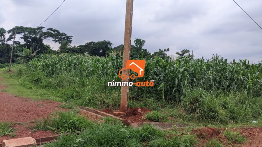 TERRAIN A VENDRE A NKOABANG