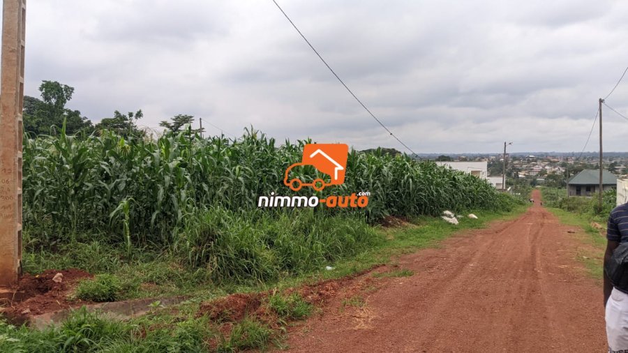TERRAIN A VENDRE A NKOABANG