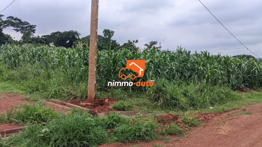 TERRAIN A VENDRE A NKOABANG