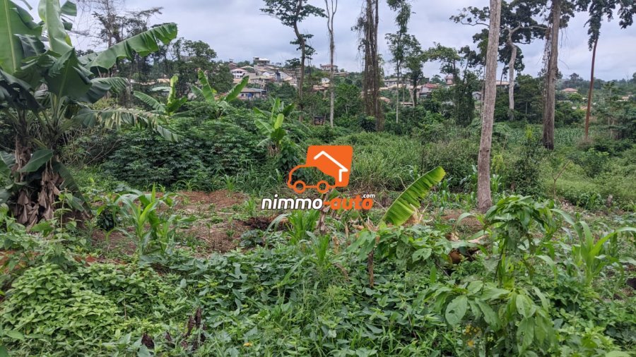 TERRAIN A VENDRE A NKOABANG