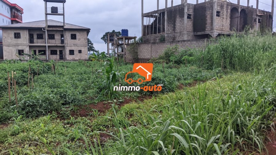 TERRAIN A VENDRE A NKOABANG