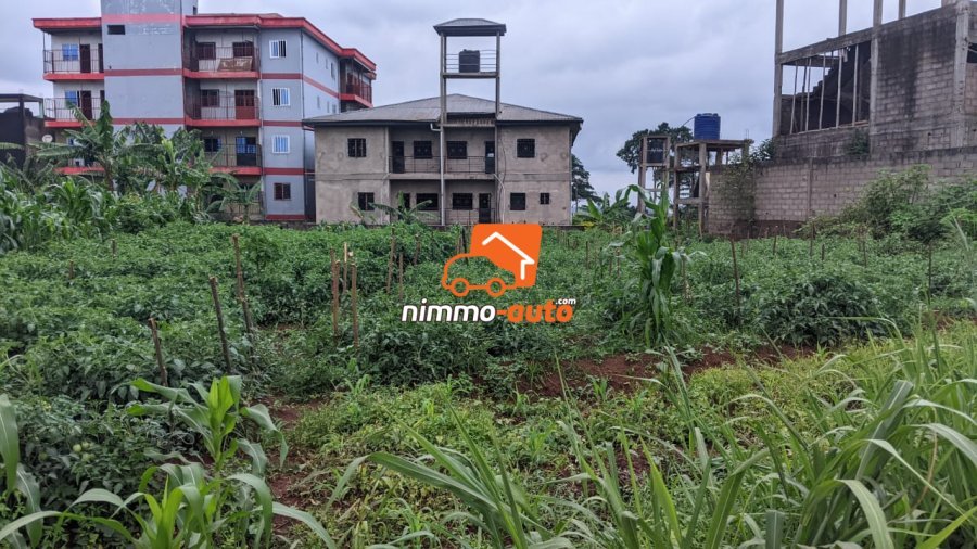 TERRAIN A VENDRE A NKOABANG