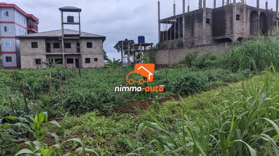 TERRAIN A VENDRE A NKOABANG