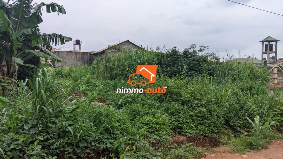 TERRAIN A VENDRE A NKOABANG
