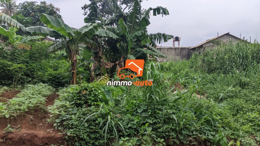 TERRAIN A VENDRE A NKOABANG