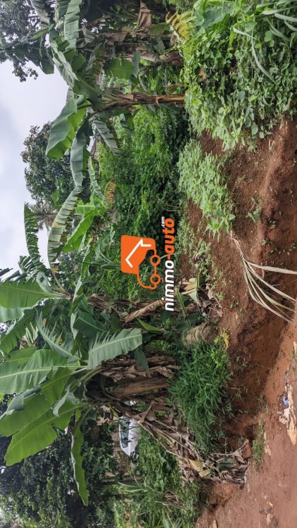 TERRAIN A VENDRE A NKOABANG