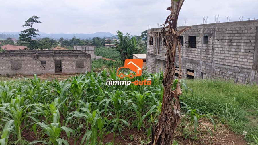 TERRAIN A VENDRE A NKOABANG