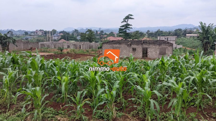 TERRAIN A VENDRE A NKOABANG