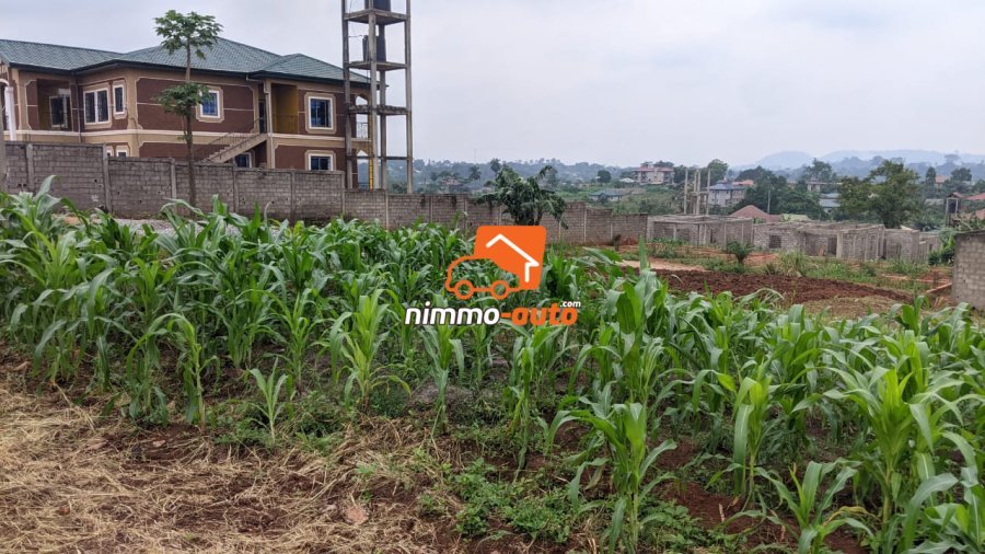 TERRAIN A VENDRE A NKOABANG