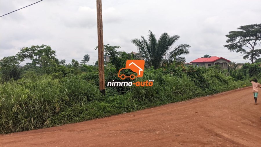 TERRAIN A VENDRE A NKOABANG