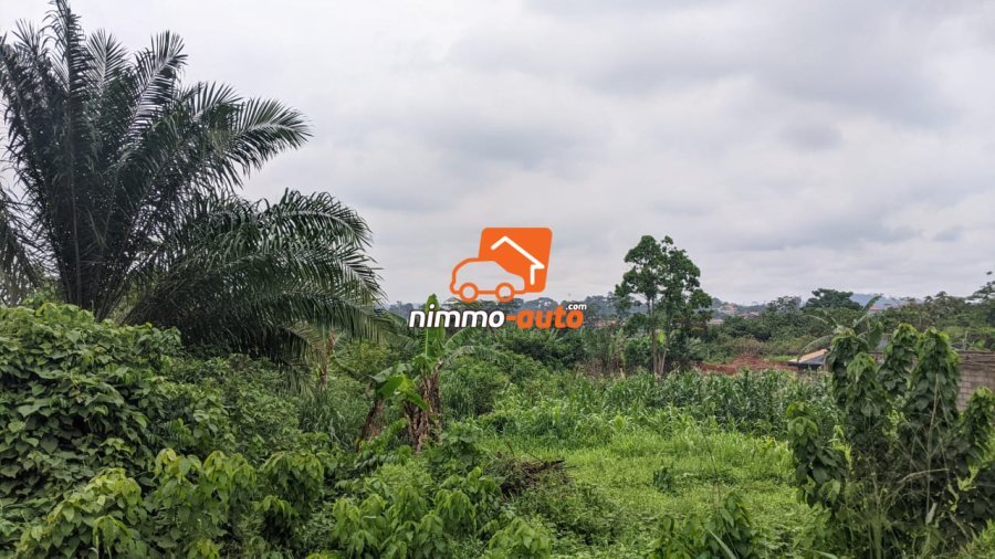 TERRAIN A VENDRE A NKOABANG