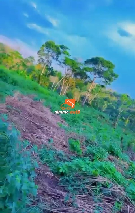 Immense Terrain Titré de 20Hectares à vendre à Nsimalen