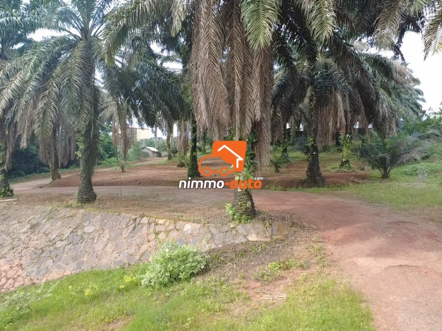 TERRAIN A VENDRE A ODZA PETIT MARCHE
