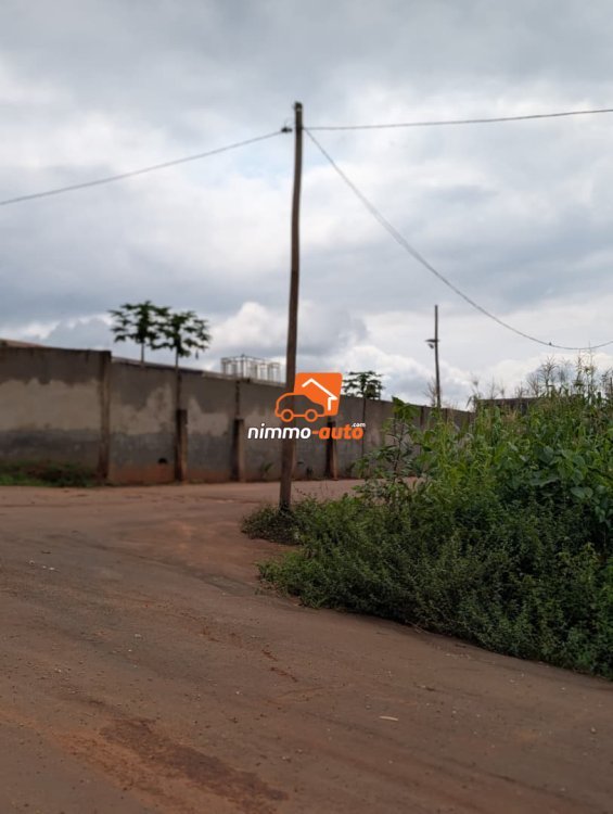 Plusieurs lots titrés bien situé à vendre a Nkozoa ,route bitumée non loin du lycée